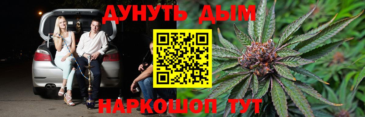 Марихуана Bruce Banner  Вход с VPN  Конопля Amnesia  Канабис план  Черняховск 